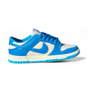 Nike Dunk Low Azul - VS