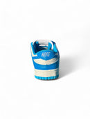Nike Dunk Low Azul - VS