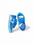 Nike Dunk Low Azul - VS